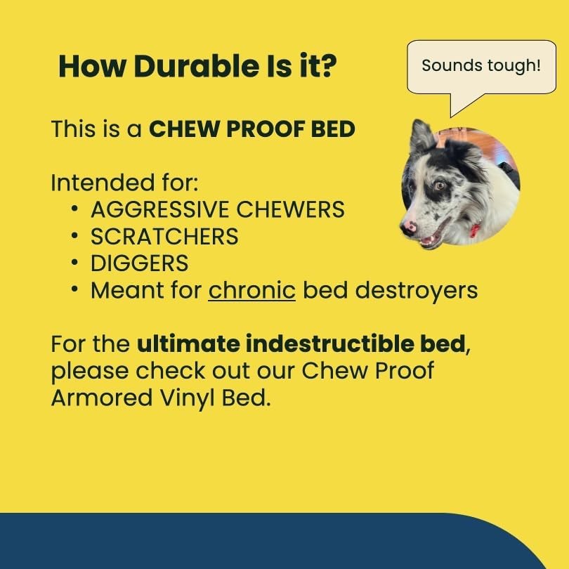 Chew Proof Elevated Cooling Dog Bed - Made for Aggressive Chewers, Virtually Indestructible, Ripstop Fabric with No Padding, Pre-Assembled - Small, Seasonal (Old) Black