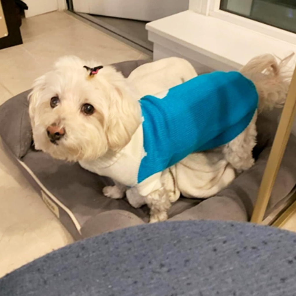 Pet Dog Sweaters Classic Knitwear Turtleneck Winter Warm Puppy Clothing Cute Strawberry and Heart Doggie Sweater (Sky Blue, Xx-Small)