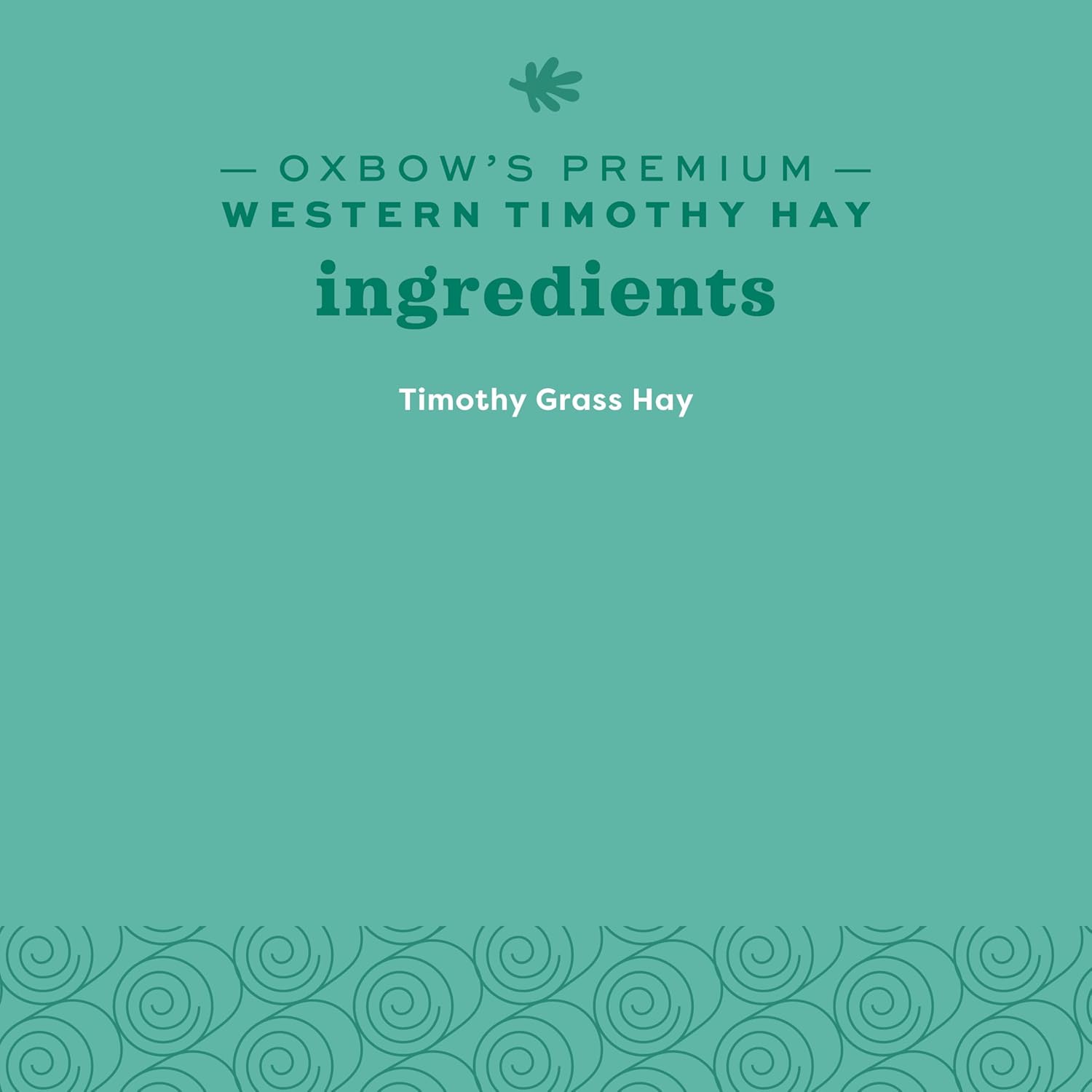 Western Timothy Hay, Guinea Pig Hay, Small Pet Bunny Supplies, All Natural Grass for Guinea Pig, Bunny, Chinchilla & Hamster,  Rabbit Supplies for Bunnies, 9 Lb Box