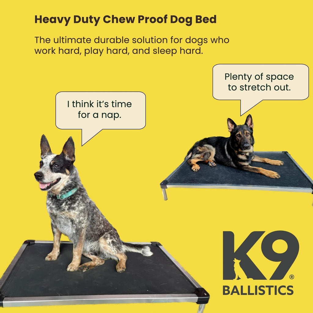 Chew Proof Elevated Cooling Dog Bed - Made for Aggressive Chewers, Virtually Indestructible, Ripstop Fabric with No Padding, Pre-Assembled - Small, Seasonal (Old) Black