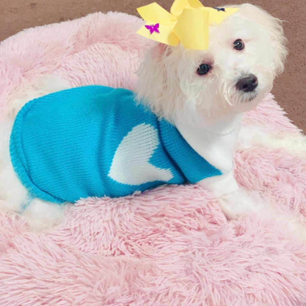 Pet Dog Sweaters Classic Knitwear Turtleneck Winter Warm Puppy Clothing Cute Strawberry and Heart Doggie Sweater (Sky Blue, Xx-Small)