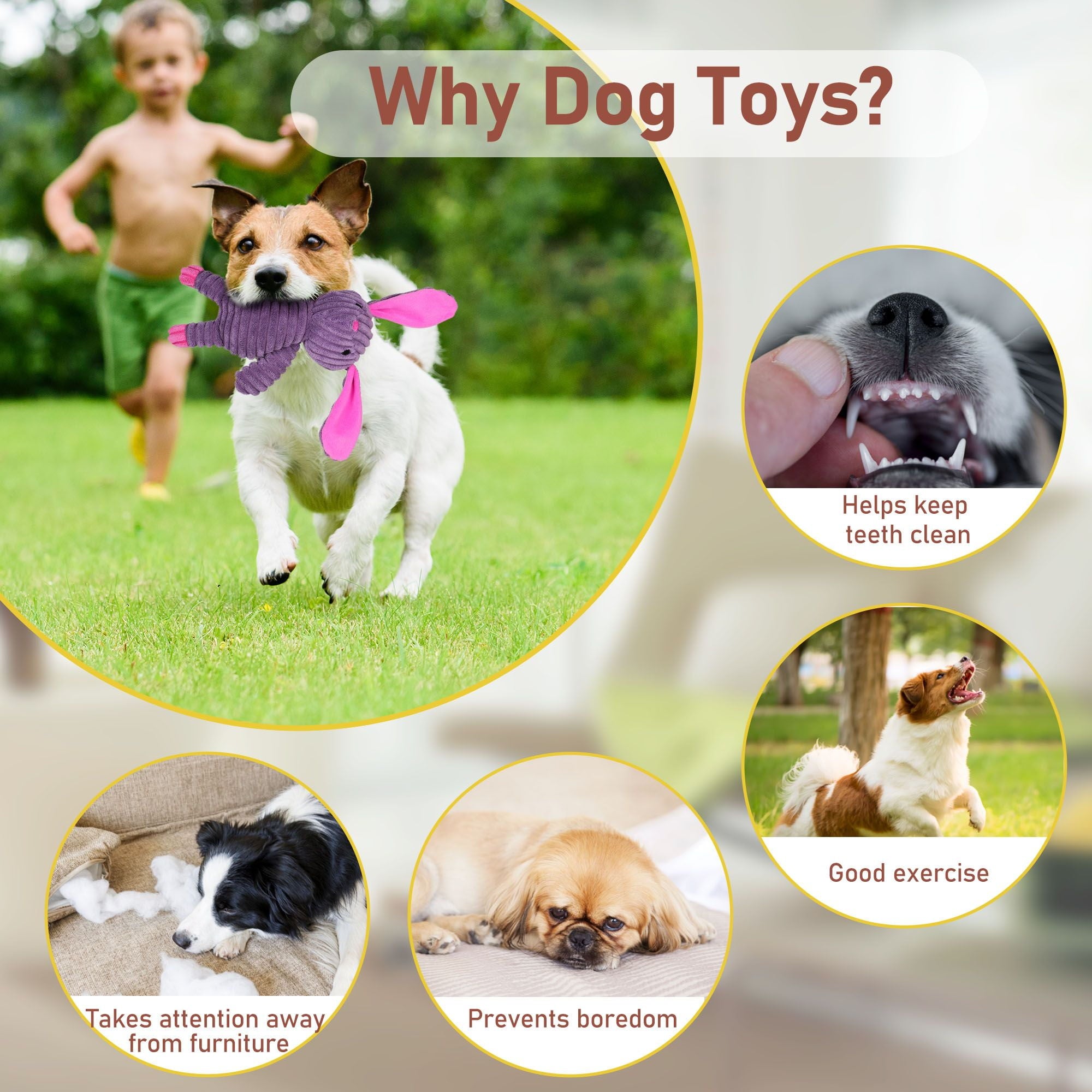 Dog Toys, 5 Pack, Squeaky Plush Dog Chew Toys Gift for Small Medium Large Dogs, Puppy